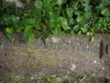 image of grave number 911172